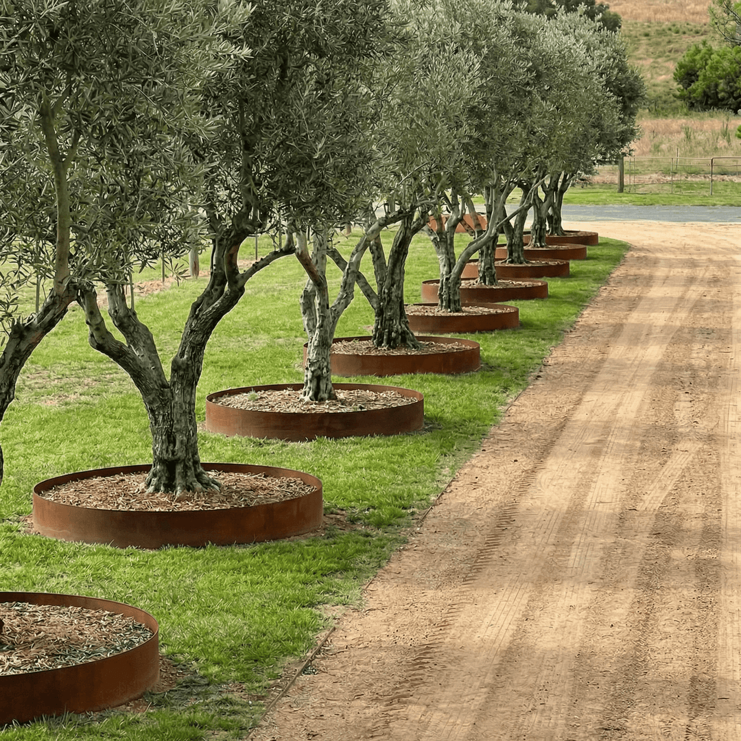 3mm Split Tree Rings – Core Earth Designs