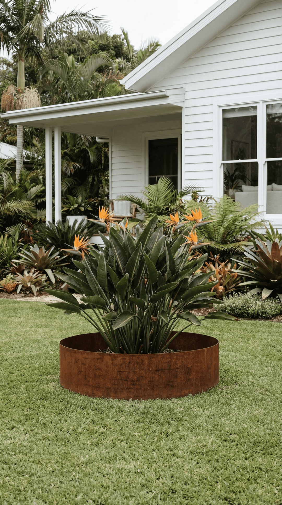 3mm Split Tree Rings - Core Earth Designs