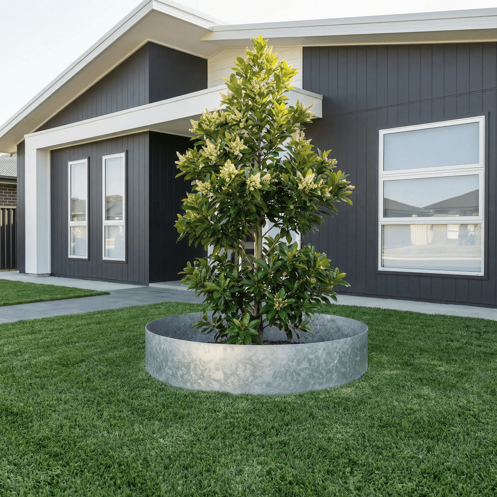 3mm Split Tree Rings (Galvanised) - Core Earth Designs