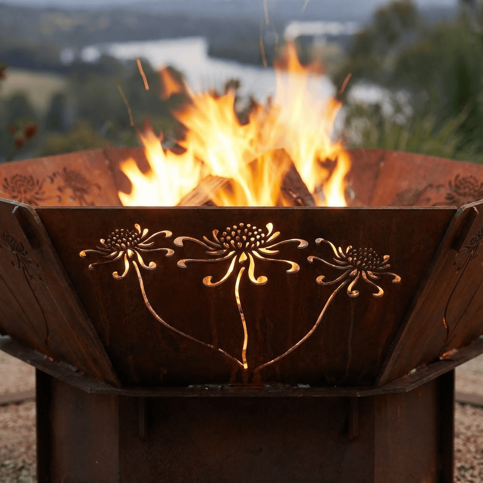 6mm 'Hive' Flat Pack Corten Fire Pit - Waratahs - Core Earth Designs